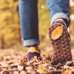 Walking Feet, autumn leaves
